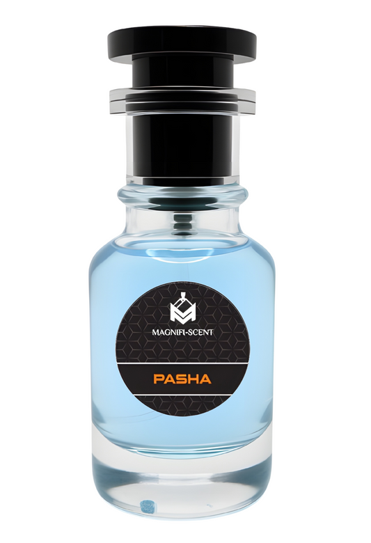 Pasha - Hybrid of Versace Dylan Blue and Valentino UOMO Man